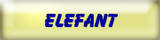 Elefant