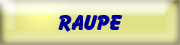 Raupe